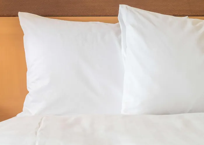- The Niu, Charly Frankfurt By Ihg Отель 3*